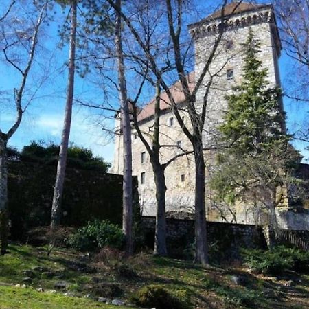 Lodge & Castle - Vue Chateau - Climatisation - Majord'Home Annecy Buitenkant foto
